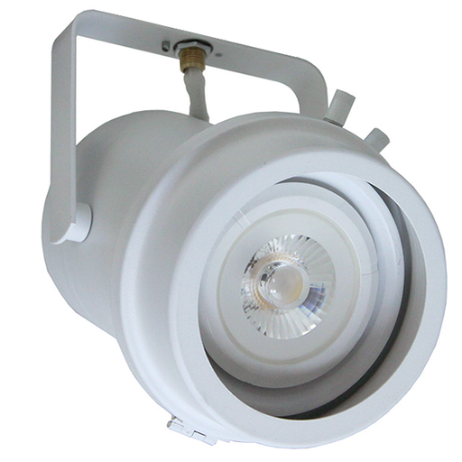 L38 LED PAR38