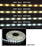 White LED Tape Light  5500 Degree Kelvin, Daylight
