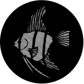 Rosco Meshed Angel Fish Gobo Pattern
