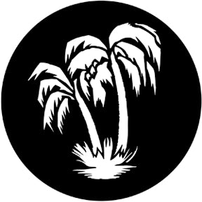 Rosco Palm Tree Gobo Pattern