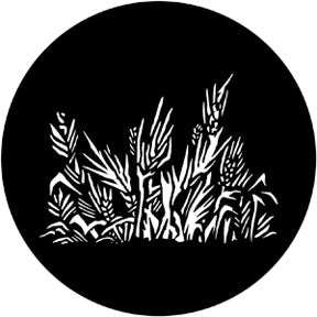 Rosco Grasses Gobo Pattern