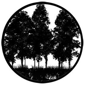Rosco Tree Silhouette 2 Gobo Pattern