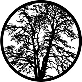 Rosco Bare Tree Gobo Pattern