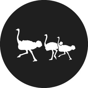 Rosco Ostrich Gobo Pattern