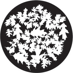 Rosco Oak Leaf Breakup Gobo Pattern