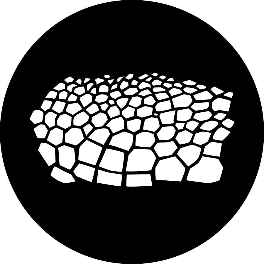 Rosco Turtle Skin Gobo Pattern