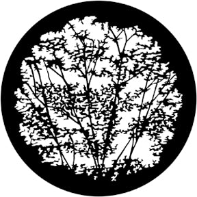 Rosco Leafy Branches 1 Gobo Pattern