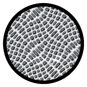 Rosco Crocodile Close Up Breakup Gobo Pattern