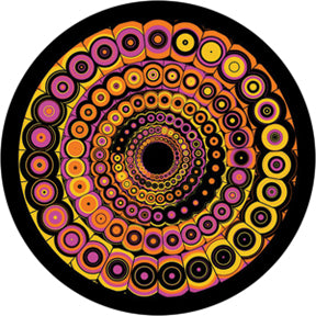 Rosco Pucci Spin 2 Color Glass Gobo