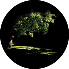 Rosco Summer Glade Color Glass Gobo