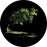 Rosco Summer Glade Color Glass Gobo