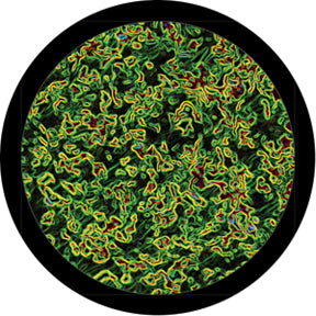 Rosco Microscopic Color Glass Gobo