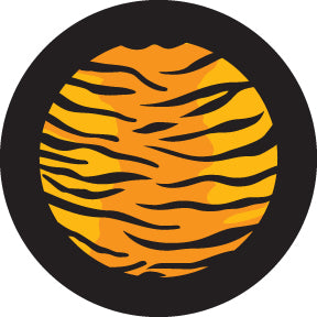Rosco Multi Color Tiger Print Color Glass Gobo