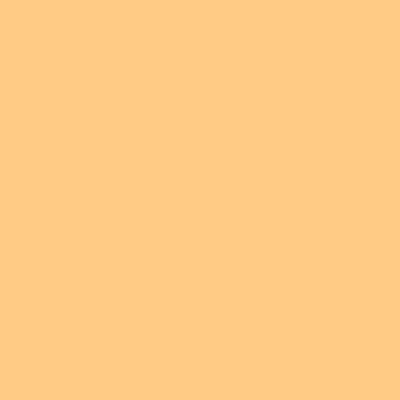Rosco Roscolux Pale Amber Gold Gel Sheet - 20" x 24"