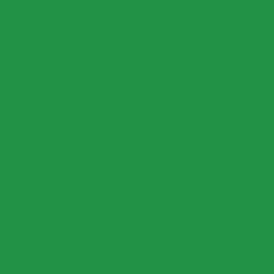 24" x 25 ft. Roscolux Gel Roll  Storaro VS Green