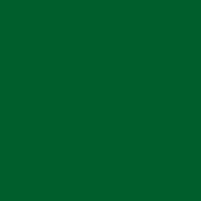 Rosco Roscolux Primary Green Gel Sheet - 20" x 24"